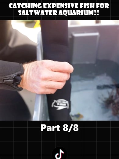 Catching EXPENSIVE FISH For SALTWATER AQUARIUM p8 #nickbingo #fish #tik_tok #UK #fyp #foruyou