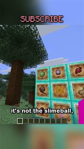 find the odd one out!!