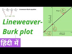 Lineweaver Burk double reciprocal plot in Hindi