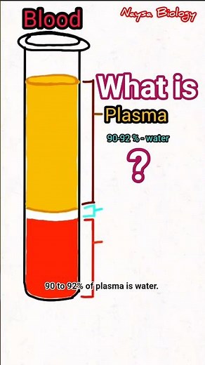 Your Blood is NOT Red?! 😱 55% is This Secret Liquid | Plasma Explained | #biology #shorts
