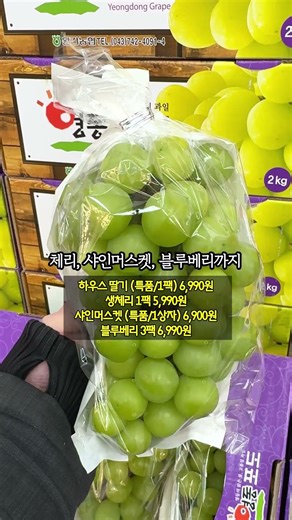 2월 10일까지 양주 푸르네마트 꼭 가야하는 이유, 진짜 역대급 폭탄세일 시작함;