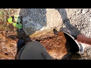 Unclogging Culvert, Draining Mosquito Pond