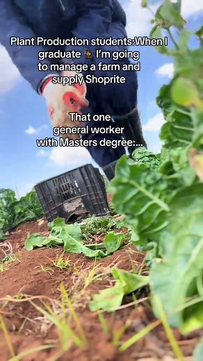 Empowering Women in Agriculture: Dreams and Realities