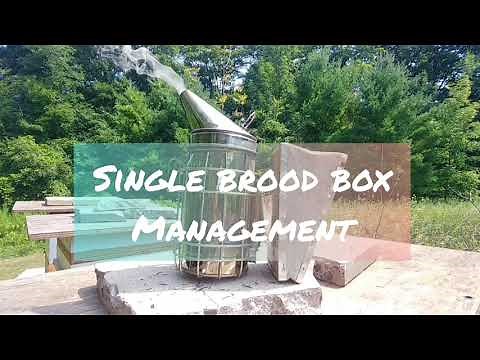 Beekeeping Single Brood Chamber 🇨🇦