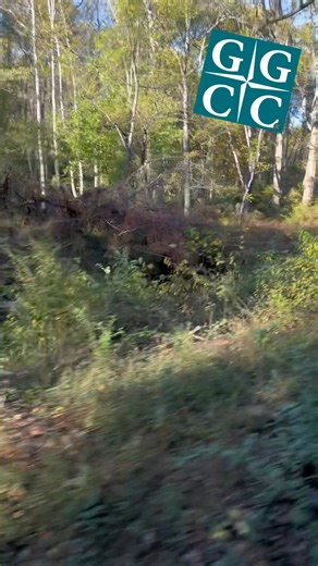 Thank you to Visit Montgomery (Montgomery County, MD Tourism) for the invitation to hang out today on the Tastemakers Trail! What a beautiful day for a mini-tour of our scenic #Upcounty! Great to pop in on GGCC members on the Trail: Lone Oak Farm Brewing Company Waredaca Brewing Company Butler's Orchard | Gaithersburg-Germantown Chamber of Commerce