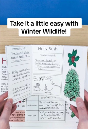 Ease back into learning while you review procedures and expectations in January. This science project is perfect for Winter! ❄️