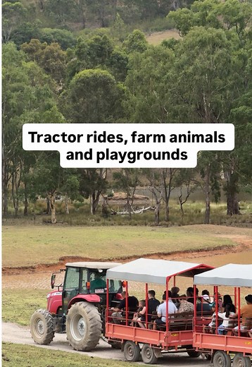 Explore Fun and Affordable Summer Activities in Sydney