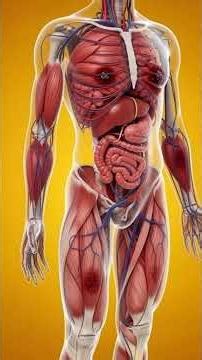 Snake Bite Explained: From Venom Injection to Survival” #venom #snake #health #science