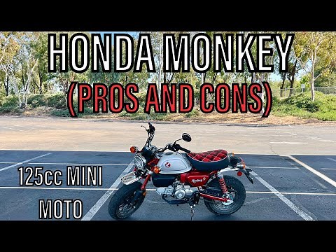 HONDA MONKEY: PROS AND CONS