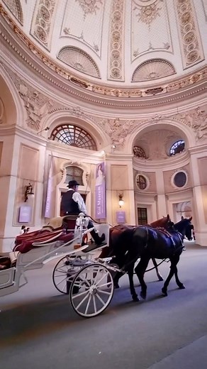 ✨ A visit at the #SisiMuseum is a beautiful way to spend a relaxed Sunday in Vienna. Do you agree? 🙌 Have a great evening everyone! 💜 #SisiWaitsForYou 📸 by @romanpixs 🙌 . #Sisi #visitsisi #visitvienna #visitaustria #kutschefahren #kutsche #Sissi #antiqueplates #royalhistory #Hofburg #wien #reelstrends #Habsburg #museumvisit #wienliebe #viennanow #viennagram | Sisi Museum • Hofburg Wien