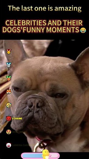 CELEBRITIES AND THEIR DOGS'FUNNY MOMENTS