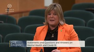 Dáil Éireann - 3-4 Feb 2021 Deputy Niamh Smyth TD and Alan Dillon TD- speech from 4 Feb 2021 Statements and Q&A on Mental Health and Covid-19 | VideoParliament Ireland