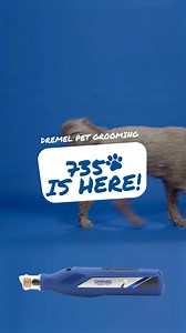 It's exactly what your pet needs... The Dremel 7350 Pet Grooming Tool! Grab yours today.🐶 Find out more about the Dremel 7350 here: https://bit.ly/3Z2l7WL #sharemydremel #dremel_uk #diy #multitool #Dremel7350 #DremelPetGrooming #DremelDogs #DremelTools #DogGrooming #DogLovers #DogsOfInstagram #PetGrooming #DogNails #PuppyLove #DogCare #InstaDog #DogLife #FurryFriends #PawCare #GroomerLife #PamperedPup #CleanPaws #DogMoments | Dremel UK