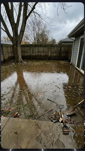 Amazing transformation - Completely solved the backyard flooding problem.