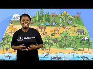 Jss2 Basic science living things Part 3