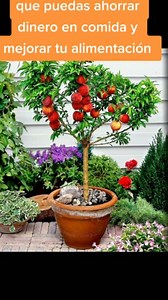 29K views · 10K reactions | ¿Qué tipos de sistemas de hidroponía hay...