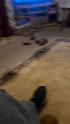 I think Sam has finally lost his marbles 😂 | Simon Bilverstone