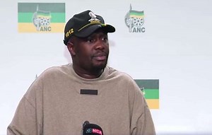 African National Congress | Challenges facing the ANC and renewal project