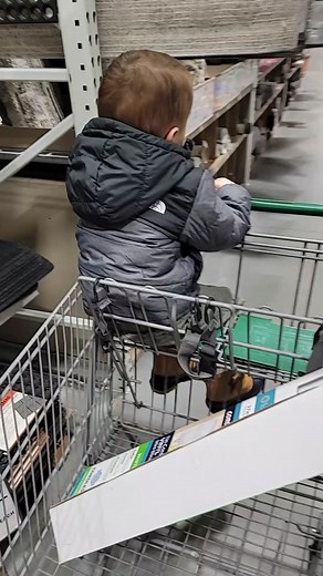 Menards Carpet Shopping: Home Decor Selection