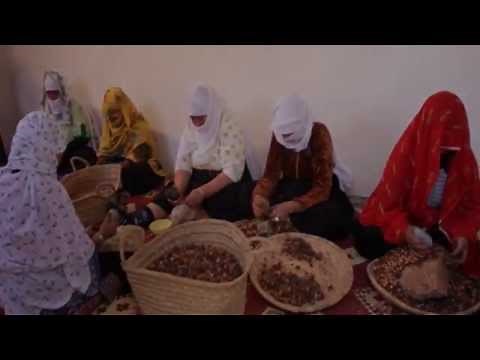 Argan, practices and know-how concerning the argan tree