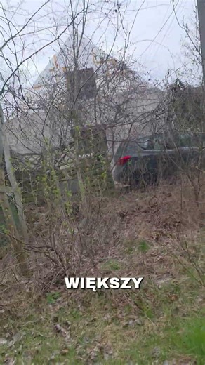 To jej pierwszy raz! #garden #pfirsich #ogród #tree #drzewo #nature #przyroda #edukacja #natura #dc