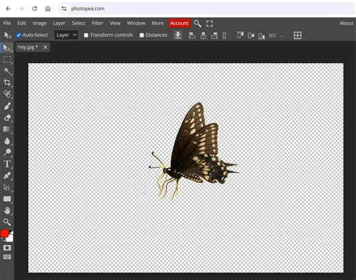 Our one-click background remover is used 600,000 times a month! Guys, we need more!😃 No fees, no limits on resolution, go and use it right now! 😊 | Photopea