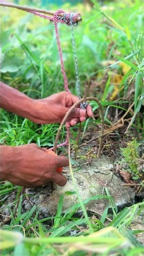 Smart Rope Trap Setup! Simple Survival Trick You Must Try 😱