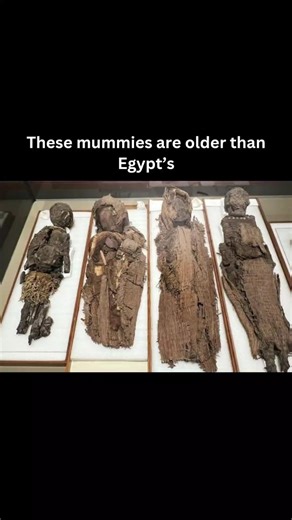 Before the Pyramids: The Chinchorro Mummies #history #ytshorts #shorts