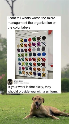 A very strict dress code just for work