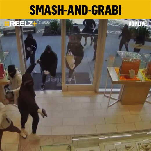 💎 In #SanRamon, California, a group of 25 suspects stormed a jewelry store in broad daylight, smashing display cases with crowbars and pickaxes while armed with guns. Nearly $1 million in jewelry was taken within minutes before the group forced their way out. 🚓🚨 #OPLive #OPNation #REELZ