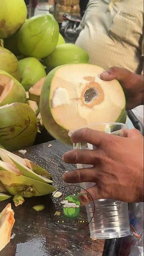 Fresh Coconut Vendor Cutting Technique