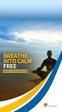 Pause And Reconnect - Join This Free Guided Meditation