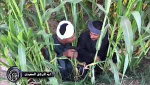 13K views · 566 reactions | ولا عايمة اللي ما ترسي هانت ياضوي انت والعقبي كلها شهرين ونازلكم البلد  | احمد جمال - ابو التركي الصعيدي | Facebook