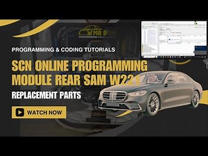 Mercedes Module Rear SAM W221 SCN Online Programming Guide