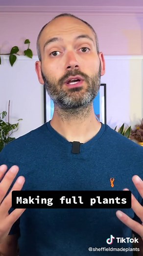 Planting Cuttings for Full Plants: Tips & Tricks