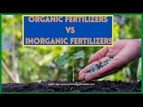 6 Major Differences Between Organic and Inorganic Fertilizers | Organic Vs Inorganic Manures