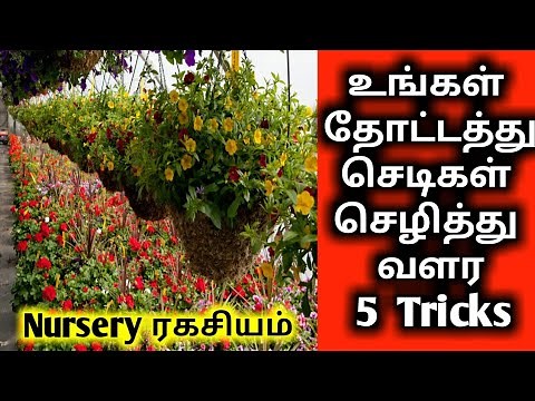 Top 5 Gardening Tips and Ideas in tamil/Easy Gardening Tamil