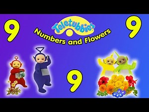 Teletubbies: Numbers and Flowers (DVD)