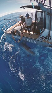 Nationals week is on and the account is open! #BuiltToFish 🎥 GoPro #GoPro #GoProANZ Bonze Lures Surtees Boats Mercury Marine Australia & New Zealand YETI Garmin Marine Just Another Fisherman Kilwell Sports Balex Marine | Built to Fish TV