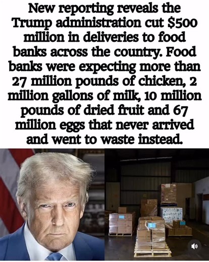 Fork the System on Reels