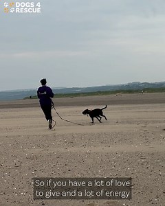 34K views · 1.8K reactions | Water baby Ozzy  went for a big day...