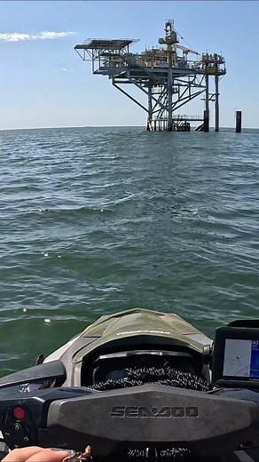 I tossed a fake crab and caught these offshore fish!! #fishing #southernsalt #fish #saltwaterfishing #adventure #offshorefishing #jetski #seadoo