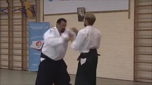 74K views · 976 shares | Steven Seagal Aikido demonstration! | Elite Striking | Facebook