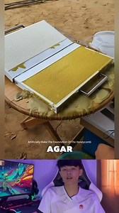 1.7M views · 4.5K reactions | cara membuat sarang lebah buatan #tutorial #ide #kreatif #trik #madu #lebah #alat #canggih #viral #fyp #reels | Cecef Pranata | Facebook