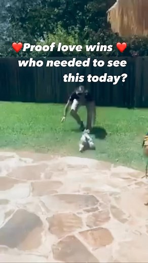 157 reactions · 5 comments | Spring reunions hit different! 浪whats your favorite spring memory? ___________________________________________________________#petsofinstagram #dogsofinstagram #doglover #motivation #love #viralvideo #springiscoming #videos #food #viralreelsfacebook #viralvideoシ | Joe Aviane | Facebook