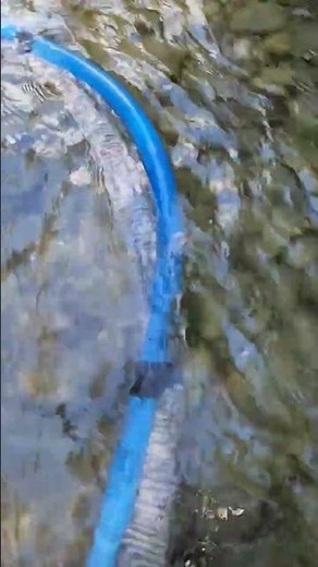 The Mini Gold Dredge!