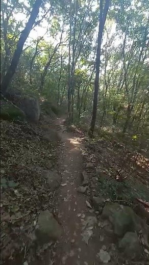 음악과 함께 심학산 둘레길... #심학산#둘레길경치#산행#힐링