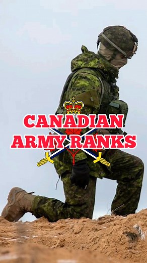 CANADIAN ARMY RANKS This is a short overview of the ranks of the Canadian Army, excluding training ranks(Private Recruit and Officer Cadet). For a more detailed video, visit our YouTube channel. #caf #canadianarmedforces #canadianarmy