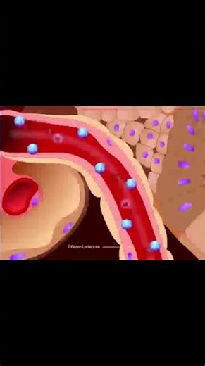 How Angiotensin II Works Wonders to Maintain Your Blood Pressure Balance!