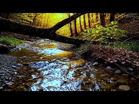 Nature’s Lullaby | River Sounds to Help You Drift Into Sleep